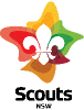 Scout Logo 2019